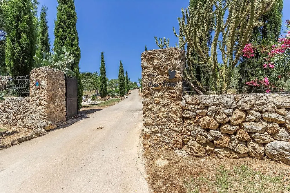 Casa Pina Villa Costitx
